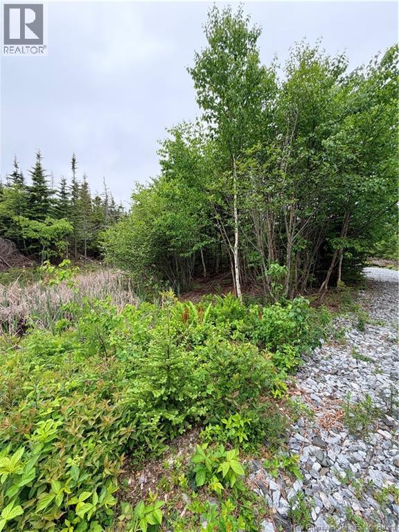 Meadow Cove Road Property Photo 6