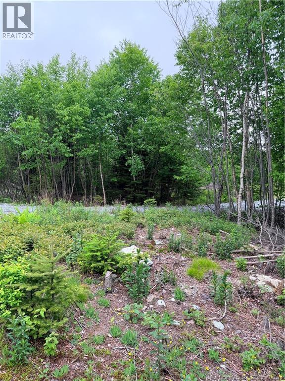 Meadow Cove Road Property Photo 7