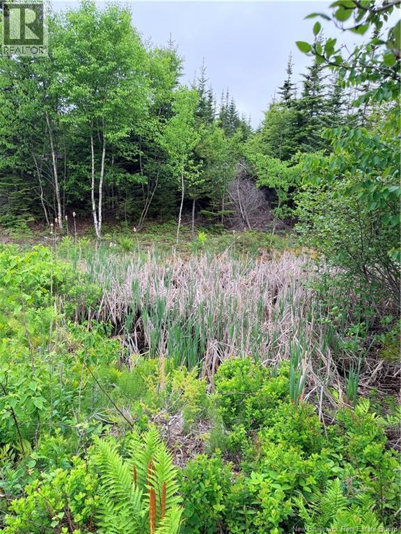 Meadow Cove Road Property Photo 8