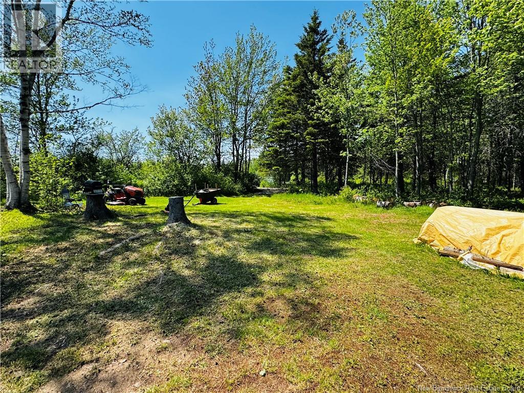 968 St. Maurice Property Photo 19
