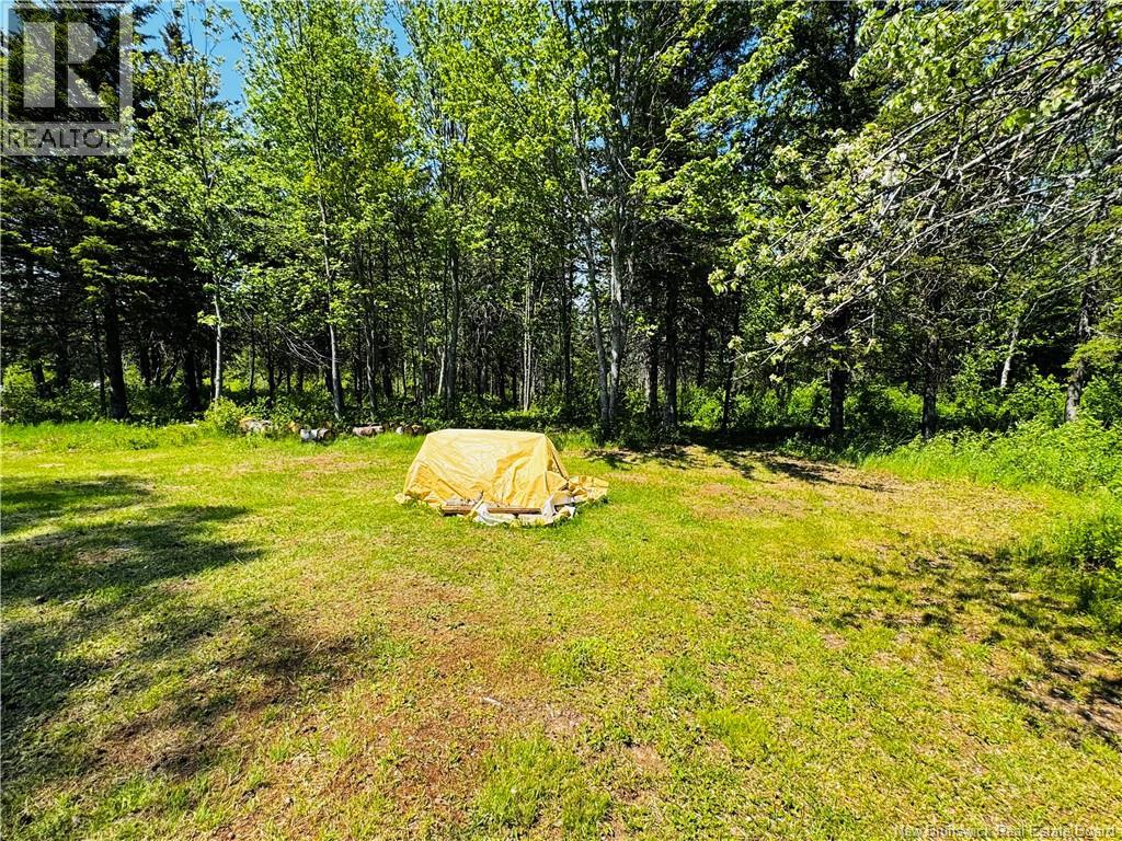 968 St. Maurice Property Photo 20