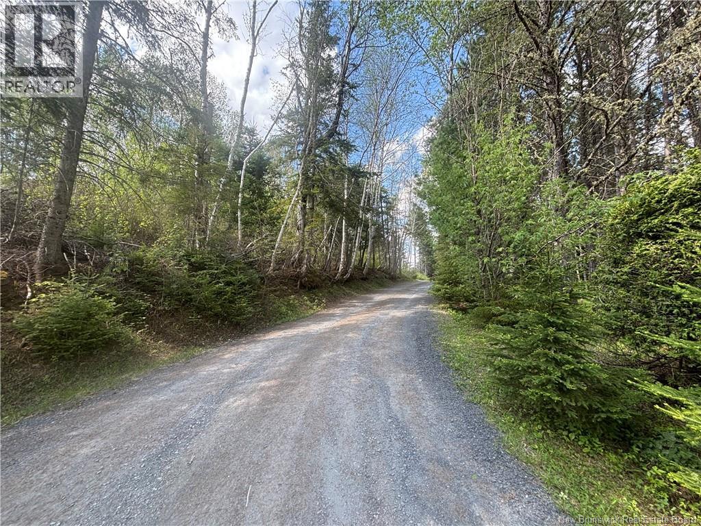 365 Route 180 Property Photo 42
