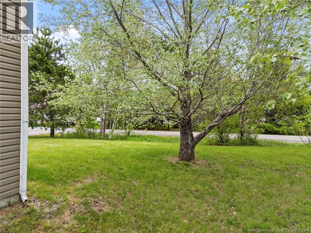 38 Foster Avenue Property Photo 26