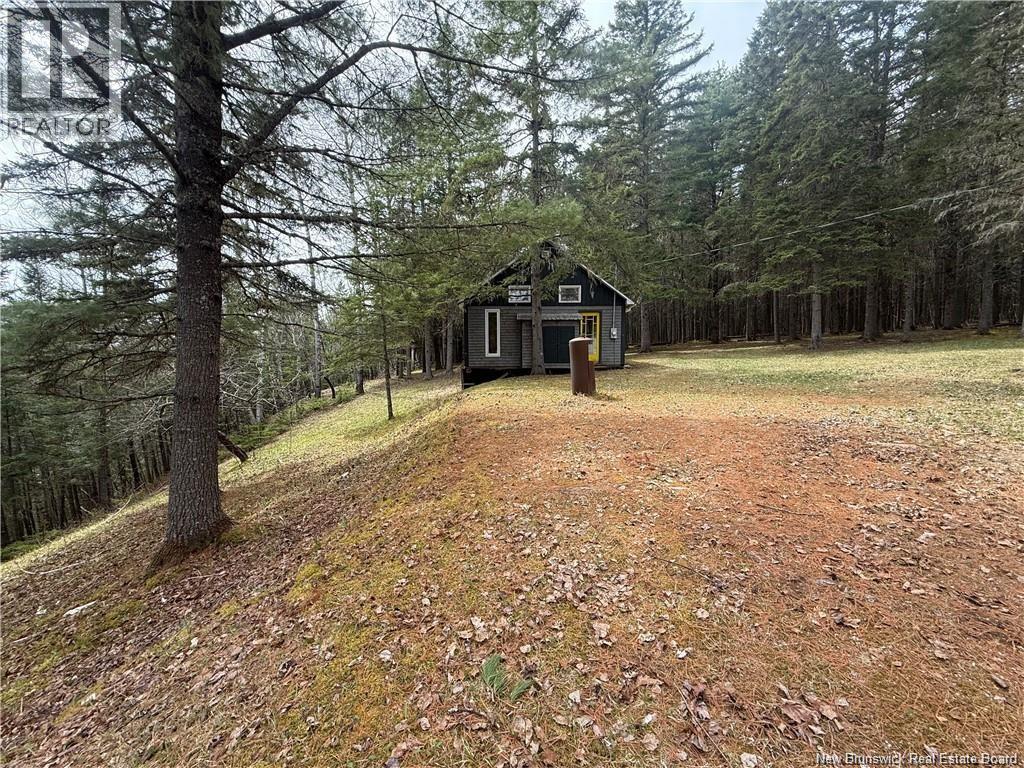 1194 Route 385 Property Photo 19
