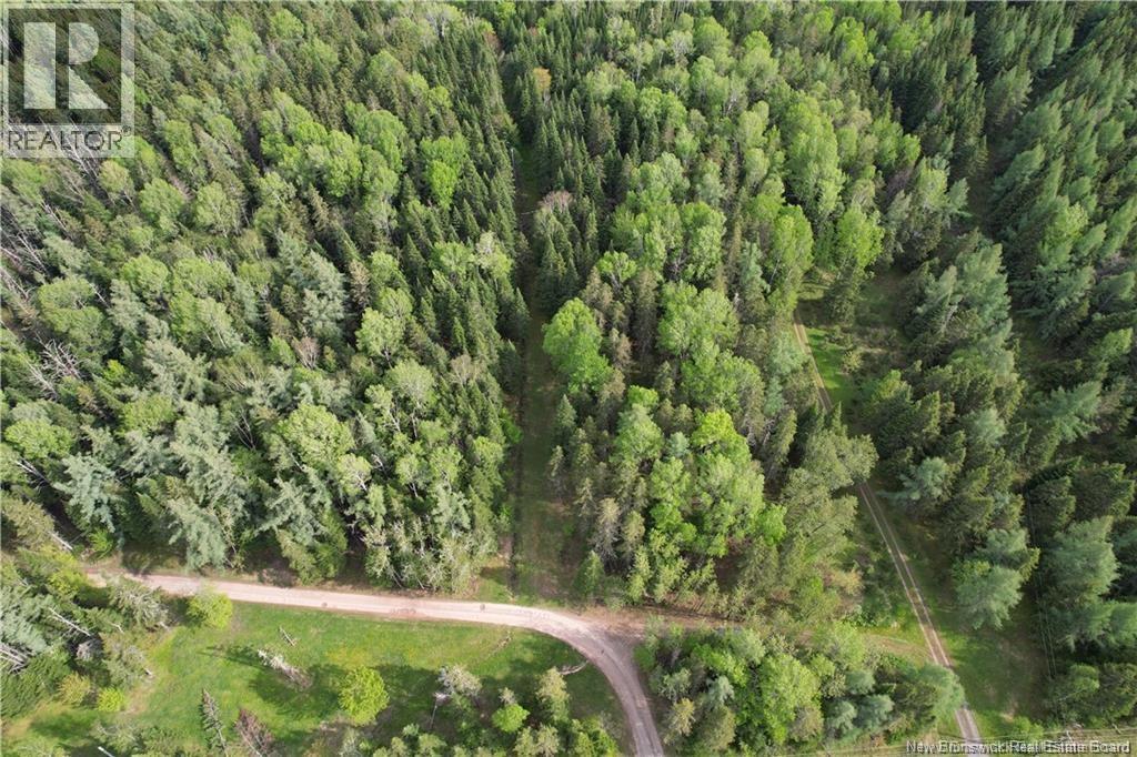 1194 Route 385 Property Photo 25