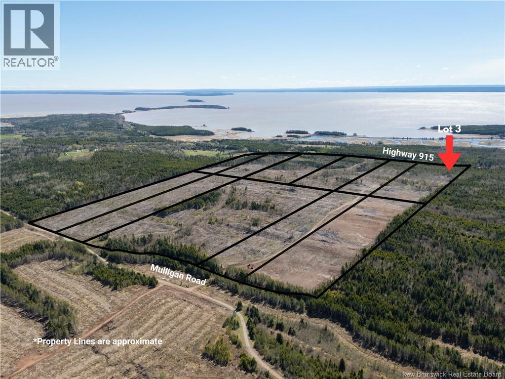 Lot 3 Route 915 Property Photo 1