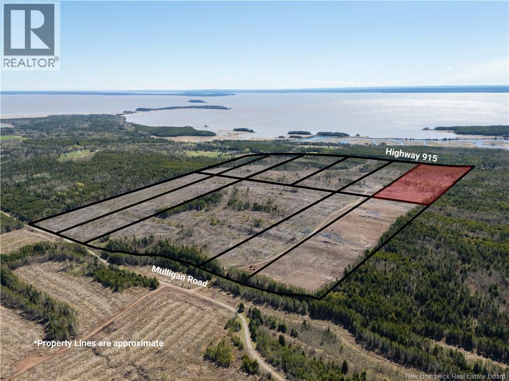 Lot 3 Route 915 Property Photo 2