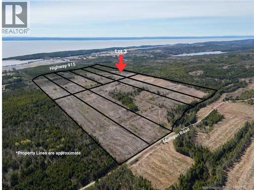 Lot 3 Route 915 Property Photo 3