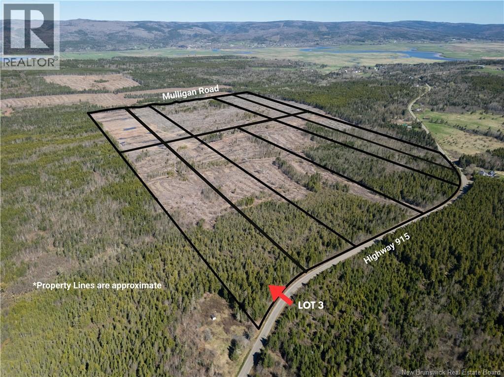 Lot 3 Route 915 Property Photo 5
