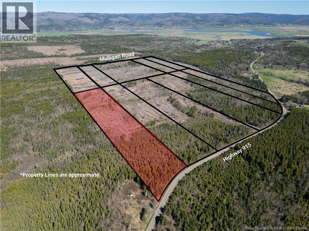 Lot 3 Route 915 Property Photo 6