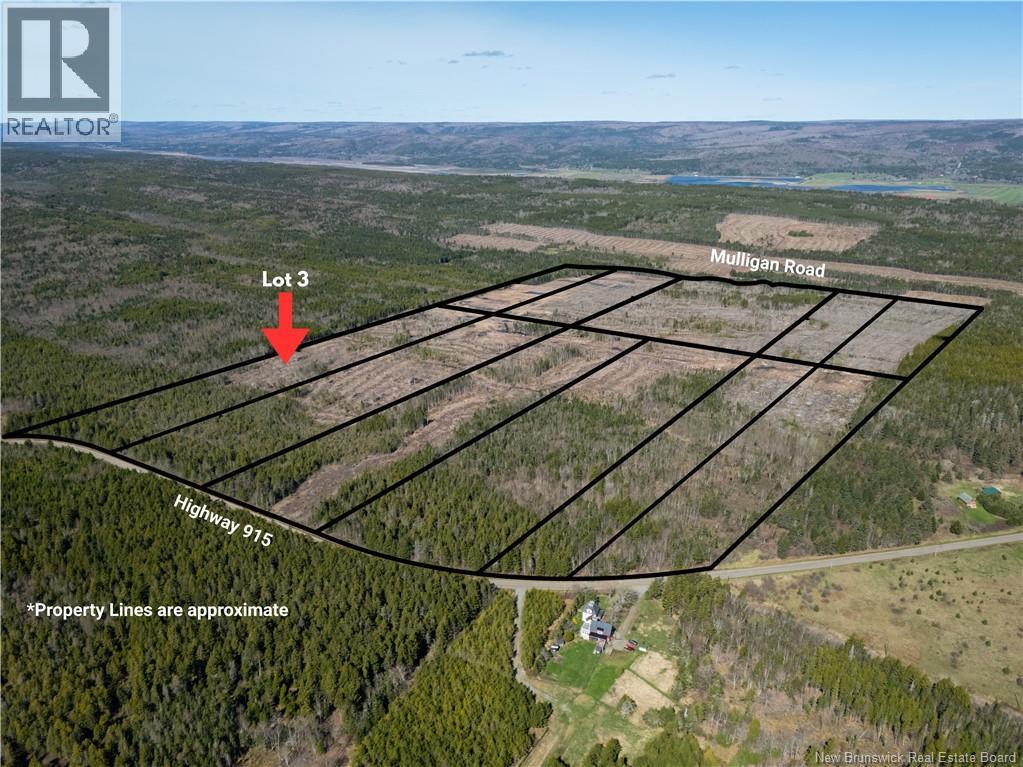 Lot 3 Route 915 Property Photo 7
