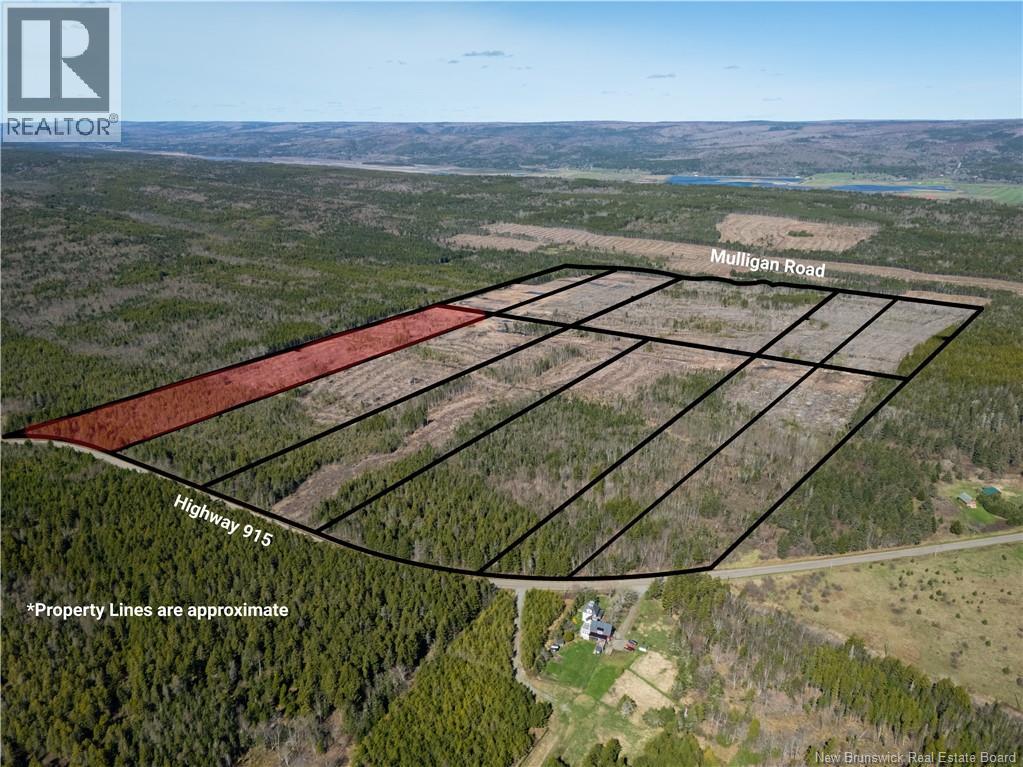 Lot 3 Route 915 Property Photo 8