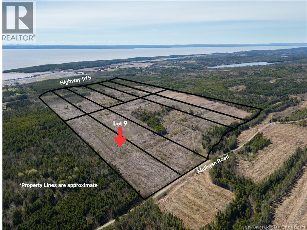 Lot 9 Route 915 Property Photo 1