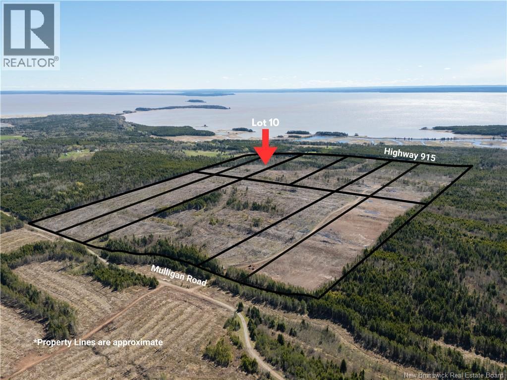 Lot 10 Route 915 Property Photo 1