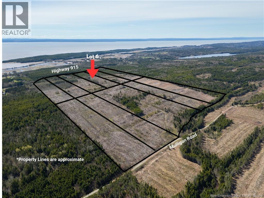 Lot 6 Route 915 Property Photo 1