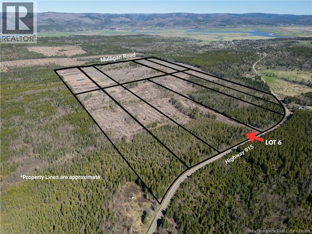 Lot 6 Route 915 Property Photo 5