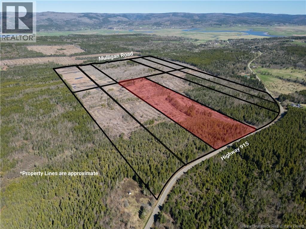 Lot 6 Route 915 Property Photo 6
