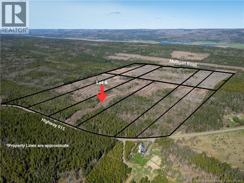 Lot 6 Route 915 Property Photo 7