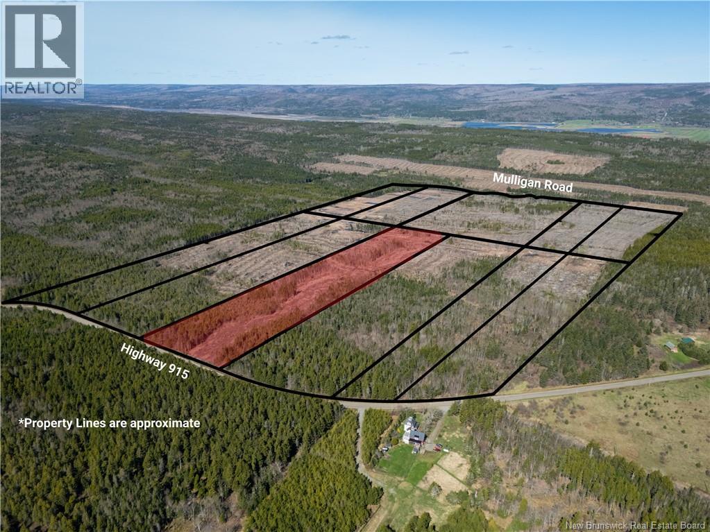 Lot 6 Route 915 Property Photo 8