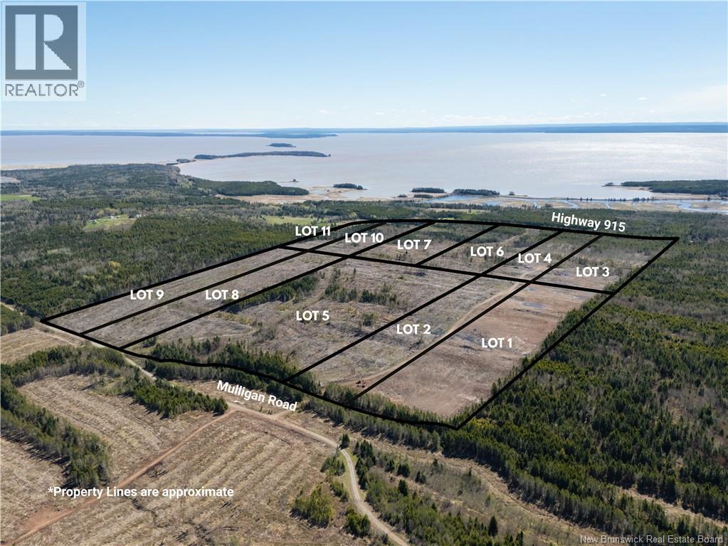 Lot 6 Route 915 Property Photo 10