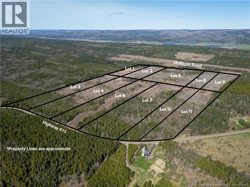 Lot 6 Route 915 Property Photo 12