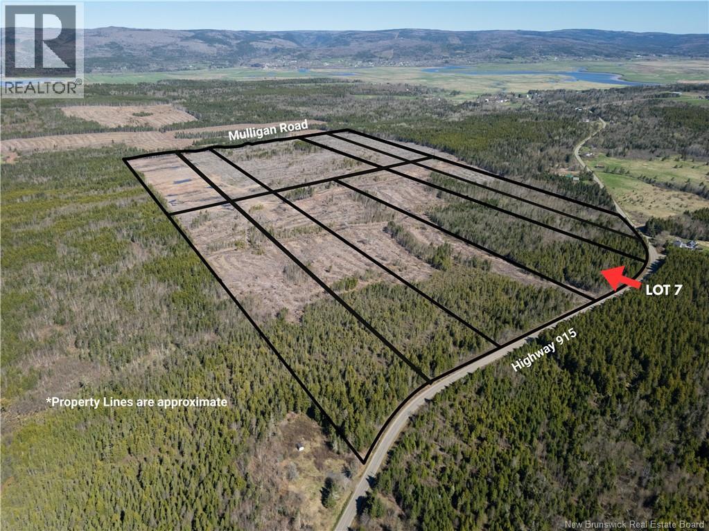 Lot 7 Route 915 Property Photo 5