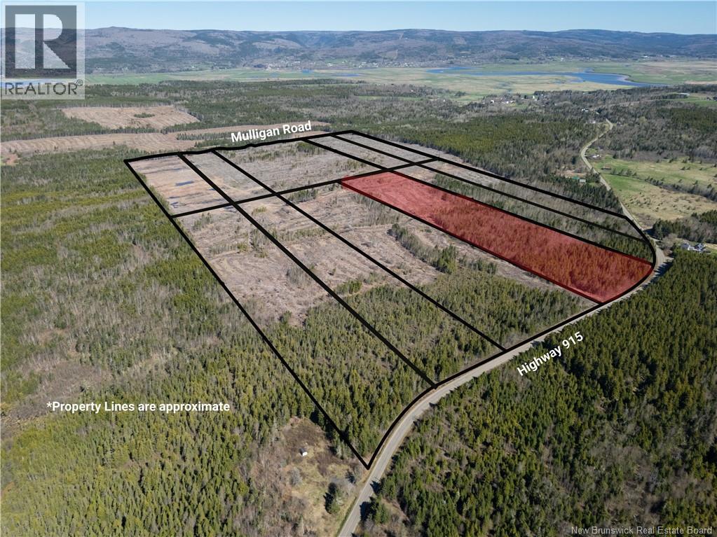 Lot 7 Route 915 Property Photo 6