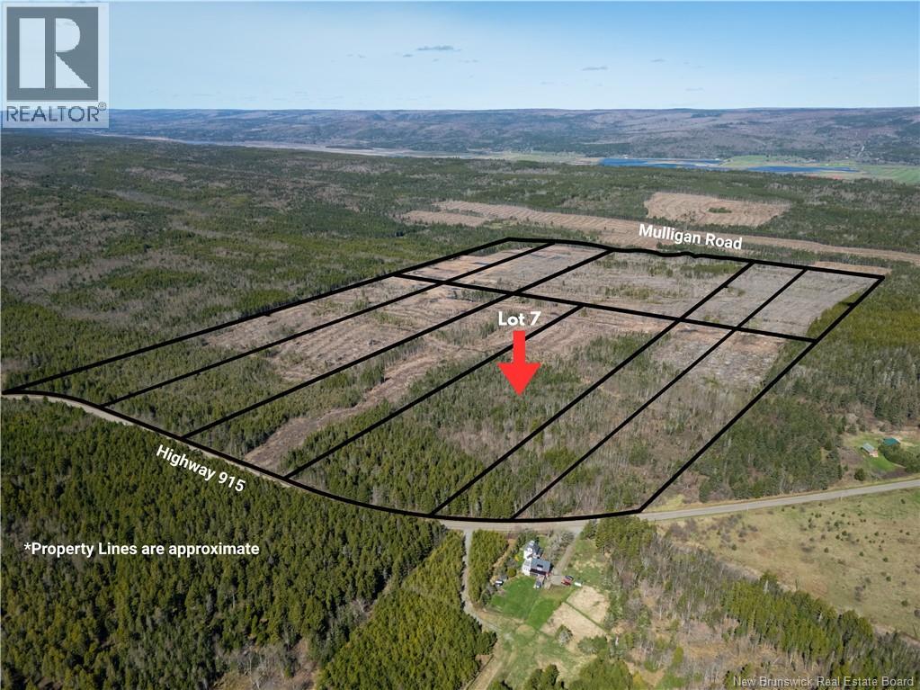 Lot 7 Route 915 Property Photo 7