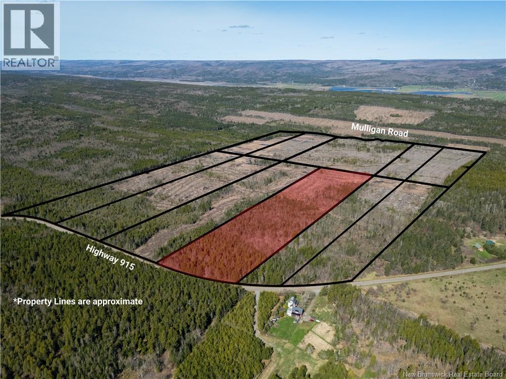Lot 7 Route 915 Property Photo 8