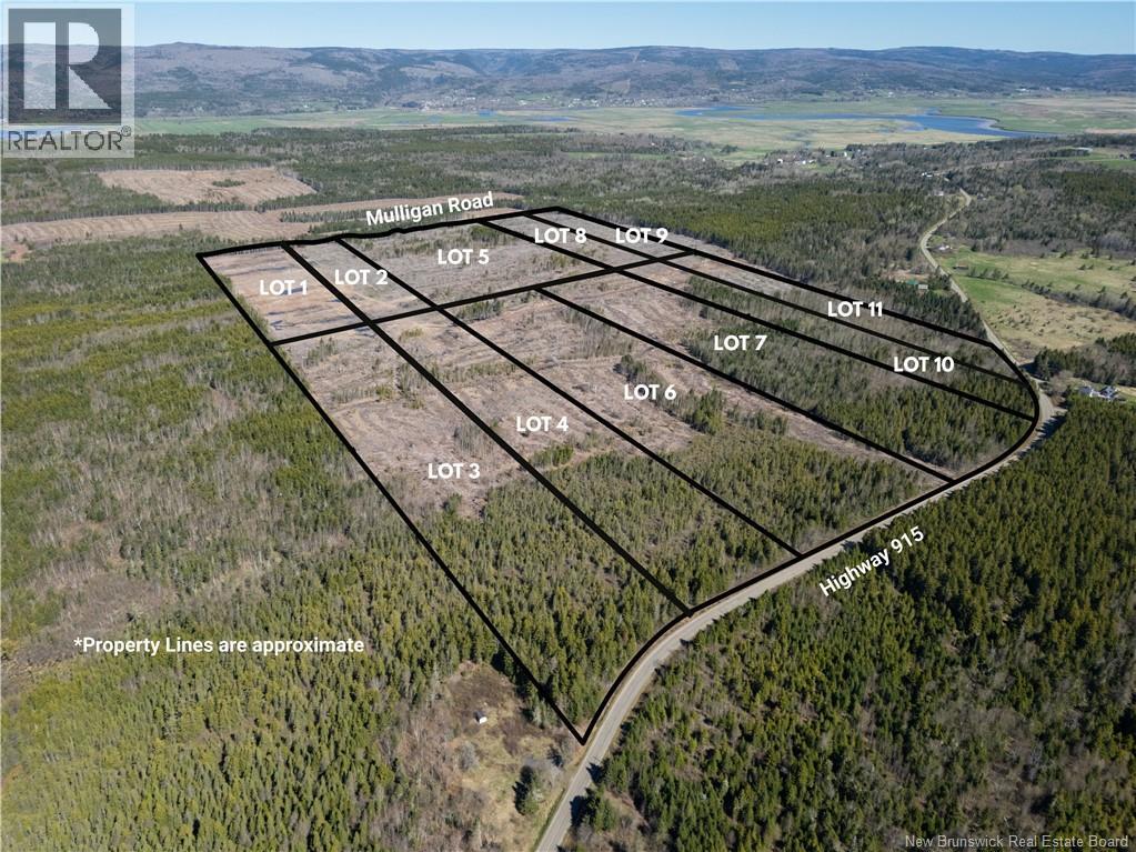 Lot 7 Route 915 Property Photo 11