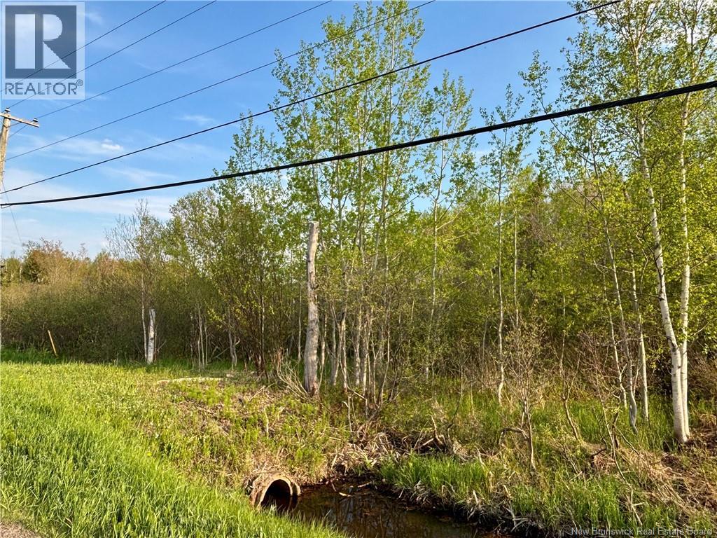 33.8 Acres Route 310 Property Photo 1