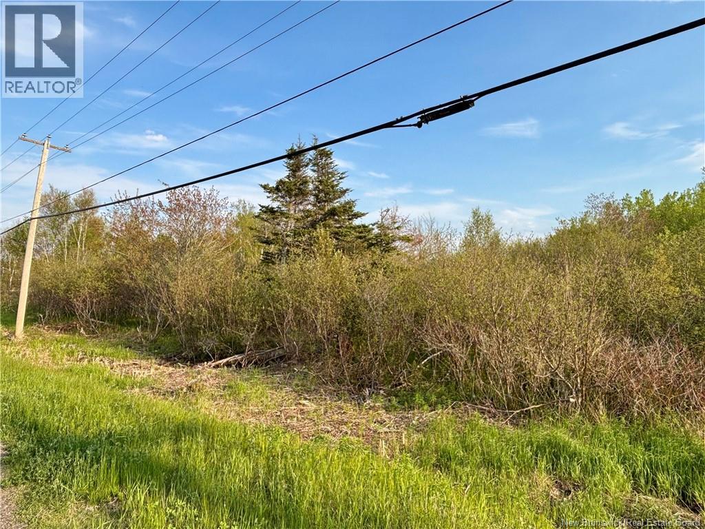 33.8 Acres Route 310 Property Photo 2