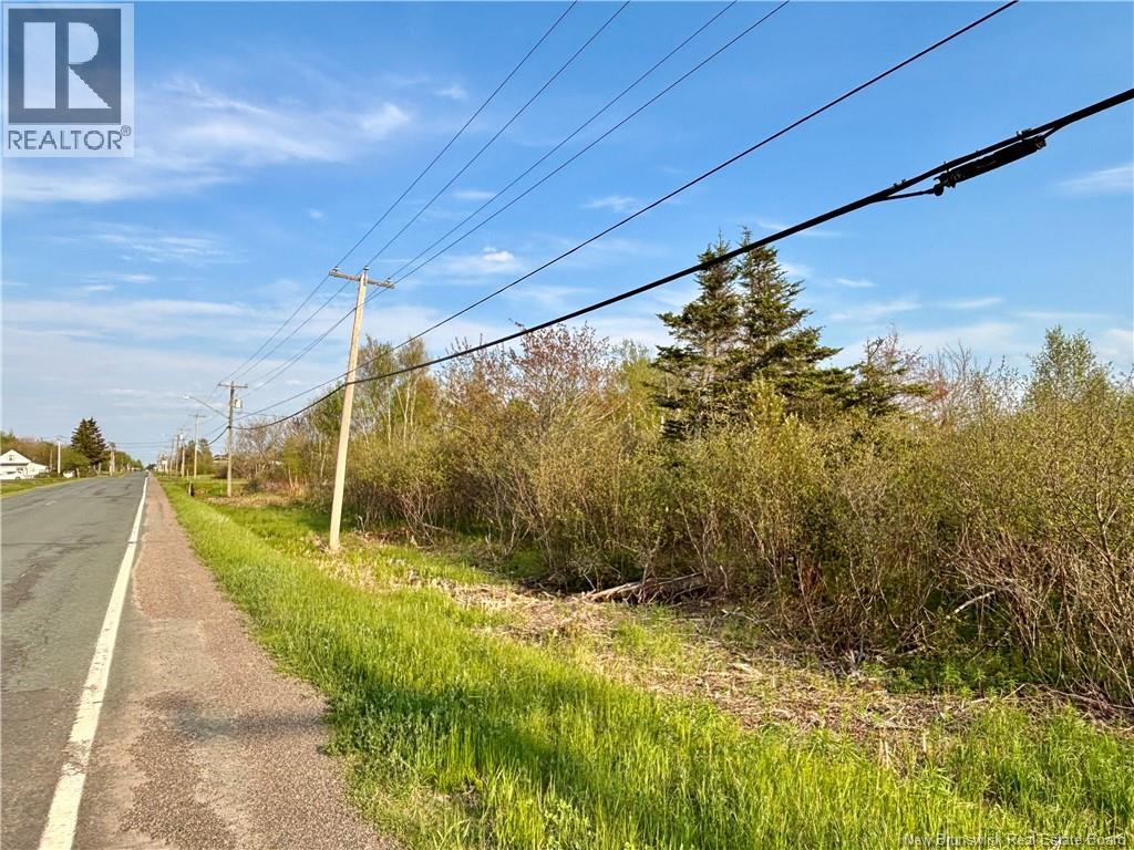 33.8 Acres Route 310 Property Photo 3