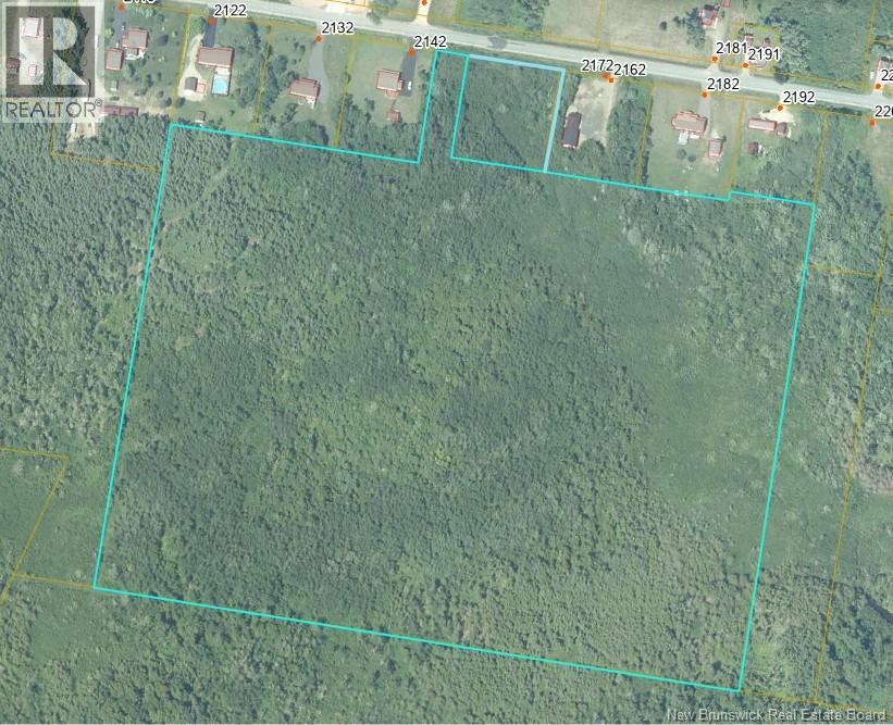33.8 Acres Route 310 Property Photo 4