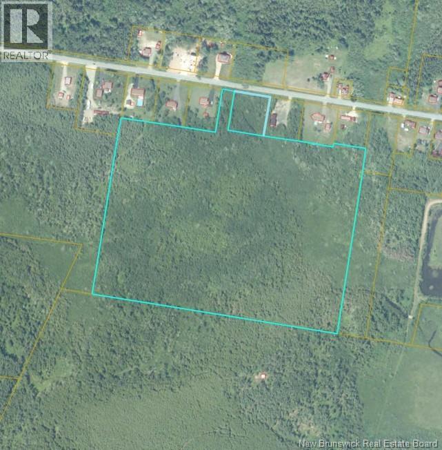 33.8 Acres Route 310 Property Photo 5