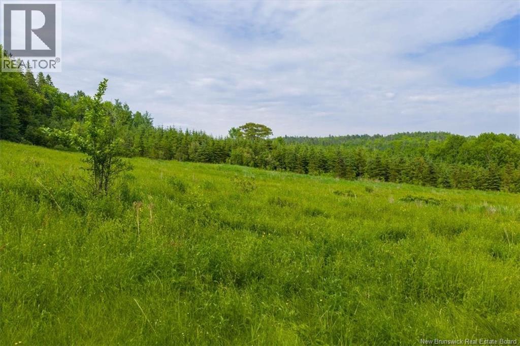 3124 Route 124 Property Photo 25