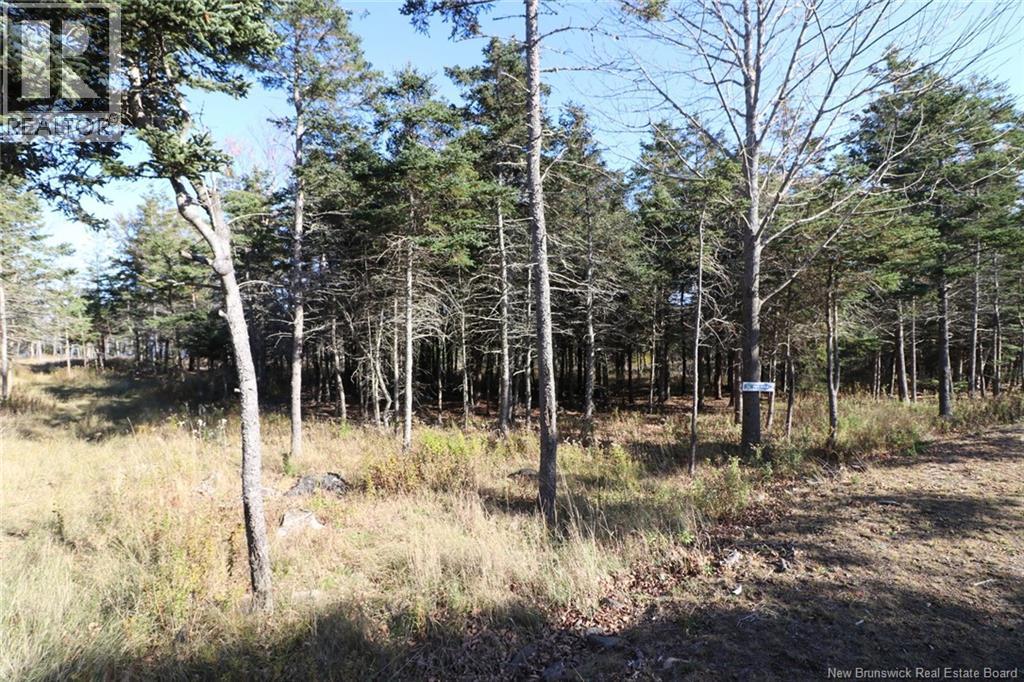Lot 10-05 Golden Mile Drive Property Photo 16