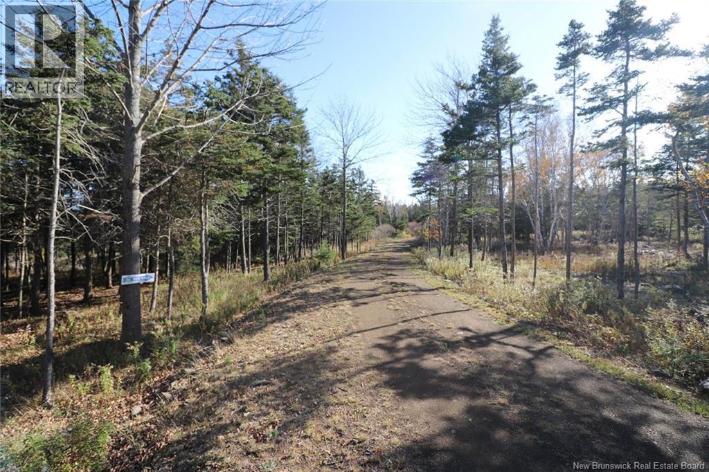 Lot 10-05 Golden Mile Drive Property Photo 17
