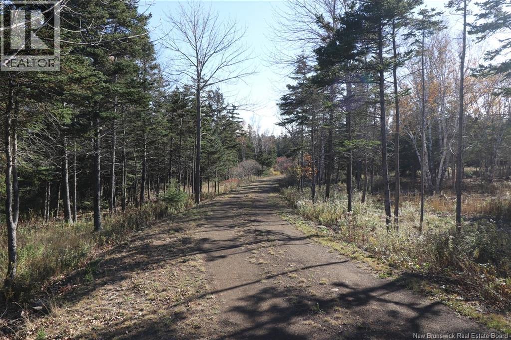 Lot 10-05 Golden Mile Drive Property Photo 18