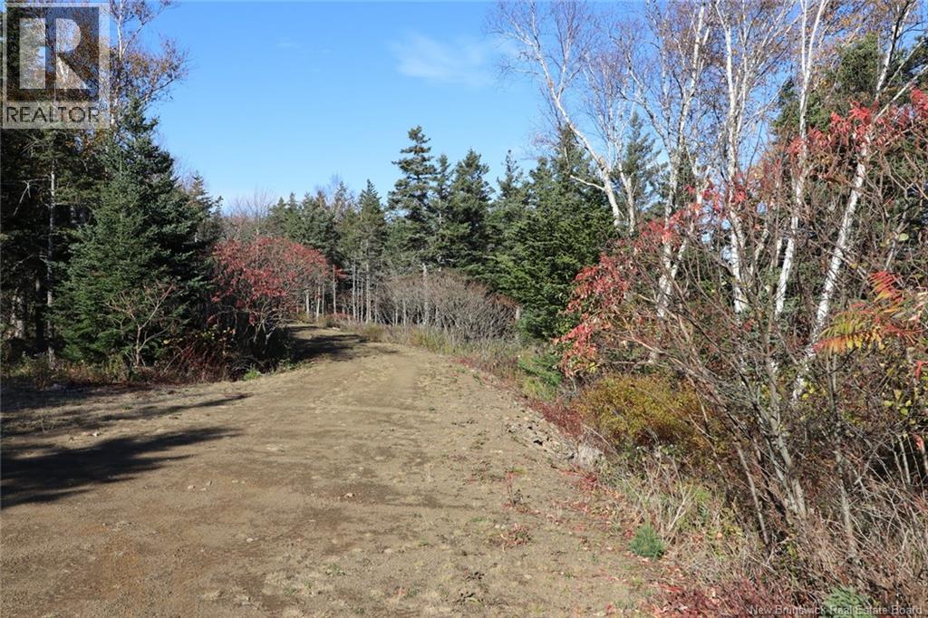 Lot 10-05 Golden Mile Drive Property Photo 24
