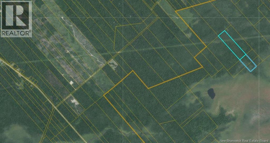 31 Acres Off Dunphy Road Property Photo 2
