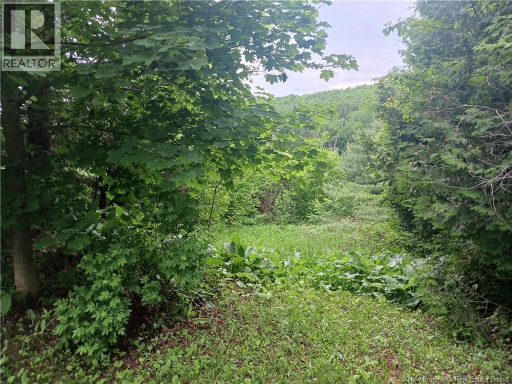 827 Central St. Property Photo 9