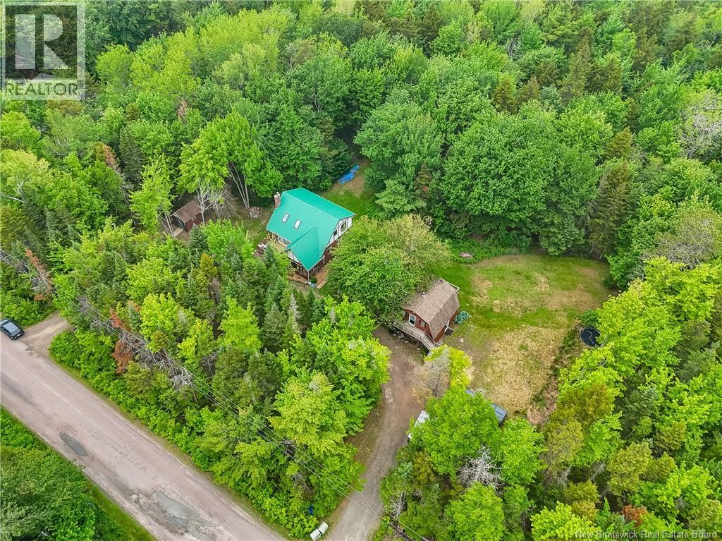 12 Shaw Street Property Photo 45