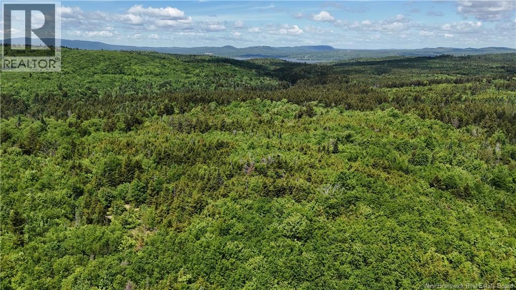 Lot Backland Road Property Photo 4