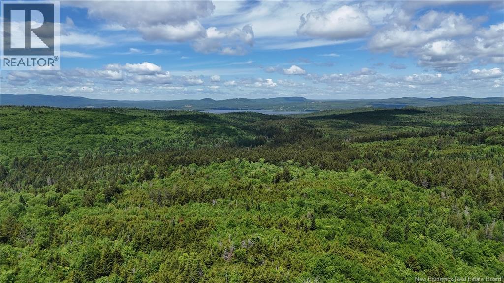 Lot Backland Road Property Photo 6