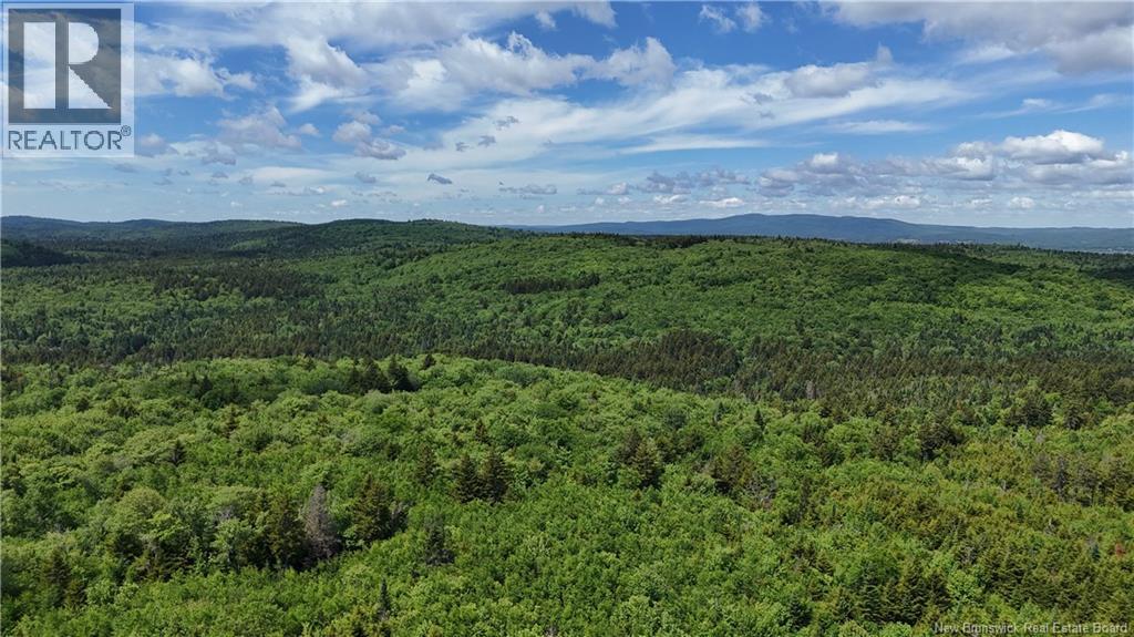 Lot Backland Road Property Photo 7