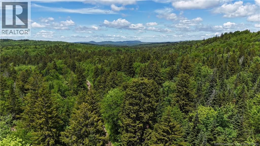 Lot Backland Road Property Photo 12