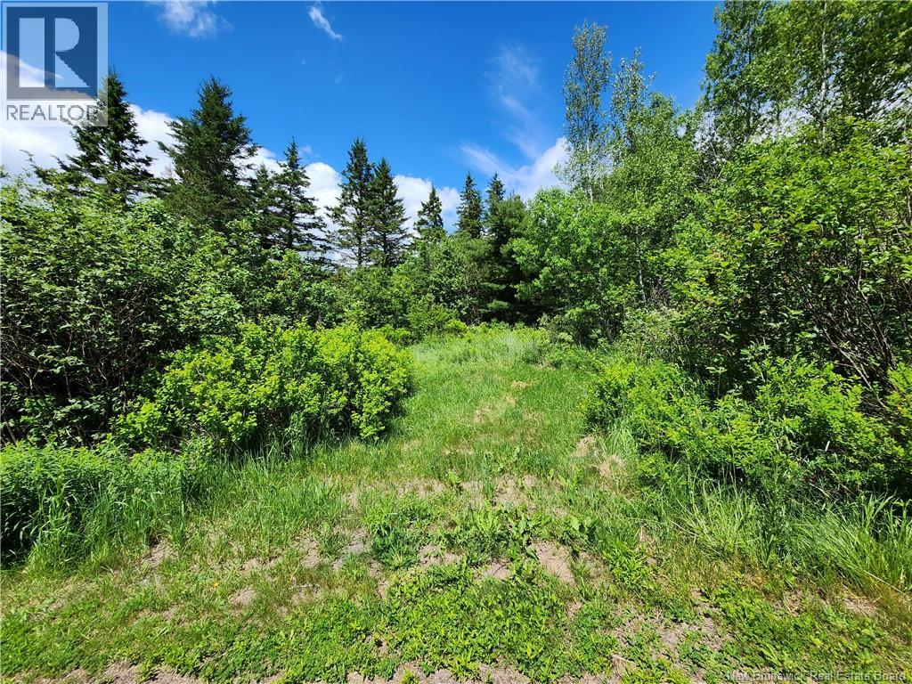 Lot Old Albert Mines Property Photo 2