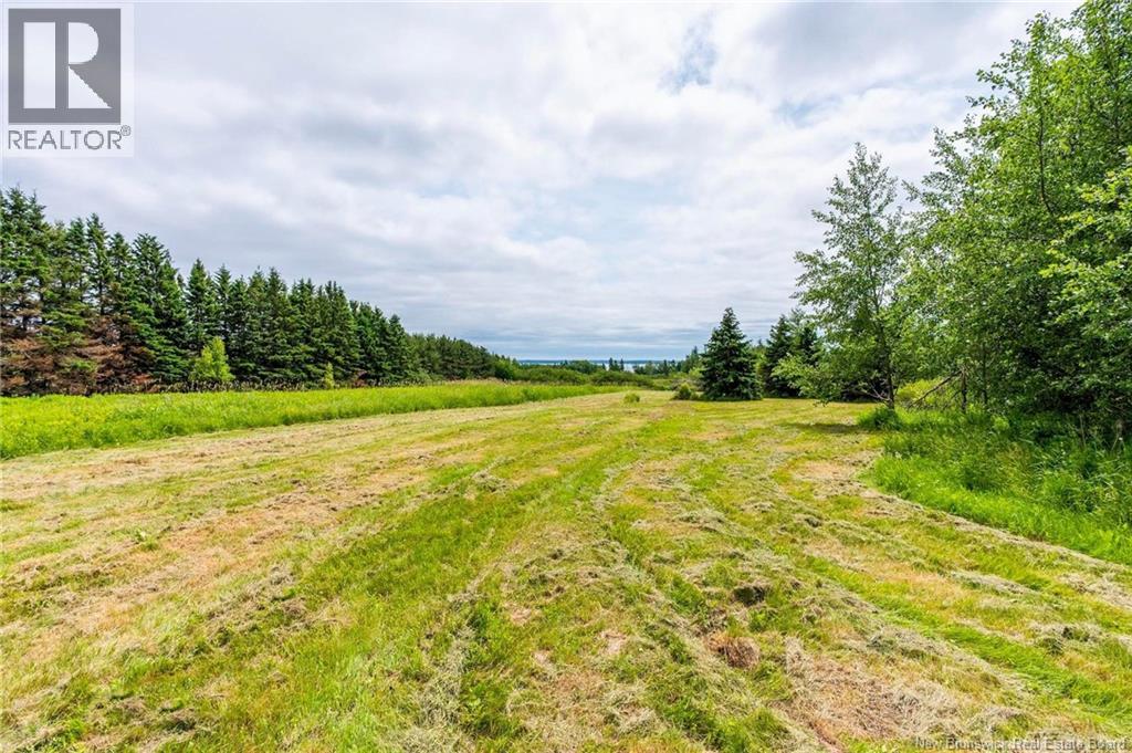 2041 Route 960 Property Photo 47