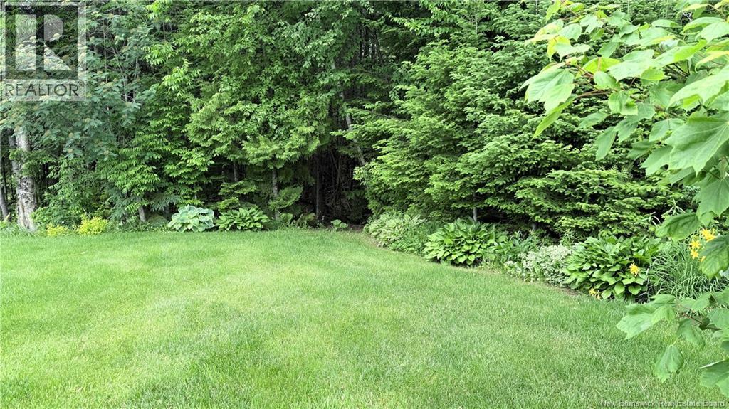 221 Barrett Property Photo 21